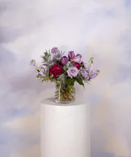 Lavender Daydreams - Standard