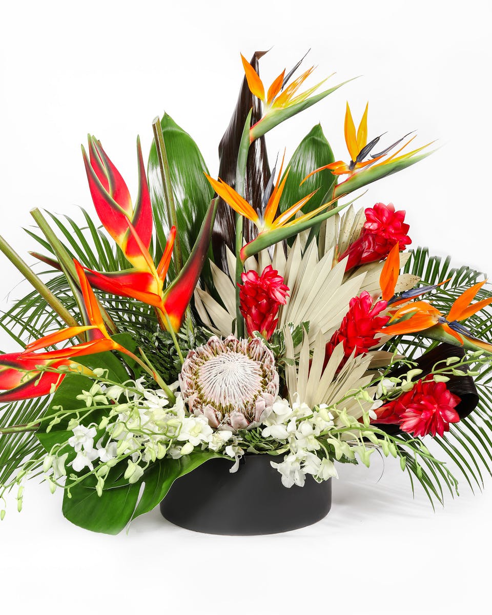 Luxury Tropical Floral Arrangement In Bloom Florist Orlando, FL SameDay Delivery