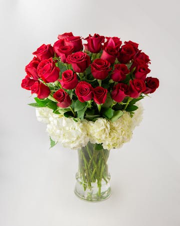 36 Luxury Roses Orlando Fl Same Day Rose Delivery In Bloom Florist