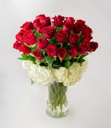 Luxe Roses - 36 Medium Roses