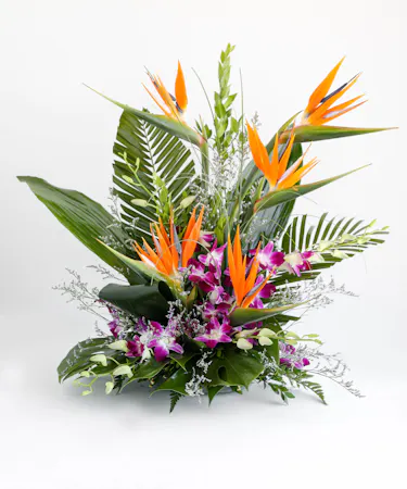 A vibrant floral arrangement featuring orange bird-of-paradise flowers and purple orchids, surrounded by large green leaves, placed on a white surface.