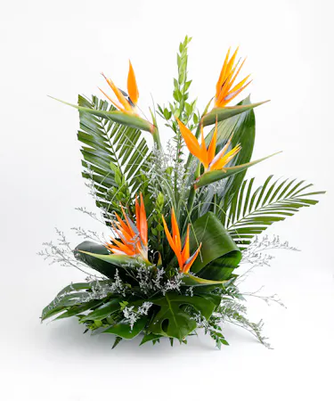 A vibrant floral arrangement featuring orange bird-of-paradise flowers and purple orchids, surrounded by large green leaves, placed on a white surface.