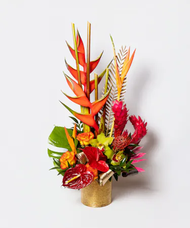 fresh cut monstera leaves, pin cushion proteas, dendrobium orchids, bird of paradise, and and assortment of tropical foliage designed in a modern black ceramic vase. 