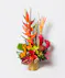fresh cut monstera leaves, pin cushion proteas, dendrobium orchids, bird of paradise, and and assortment of tropical foliage designed in a modern black ceramic vase. 