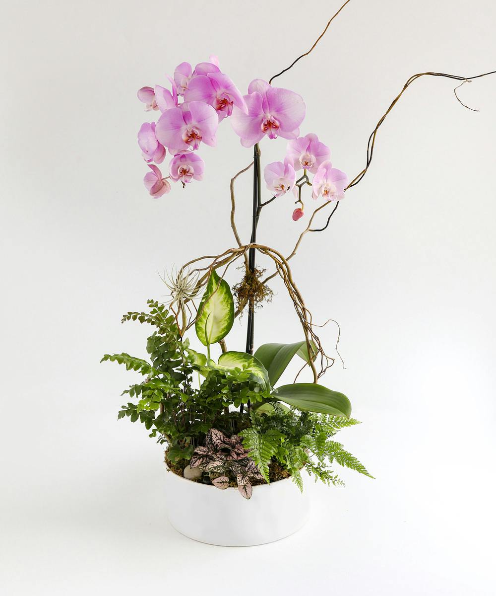 Mother Earth's Orchid Planter Same Day Flower Delivery Orlando and Lake Mary by In Bloom Florist