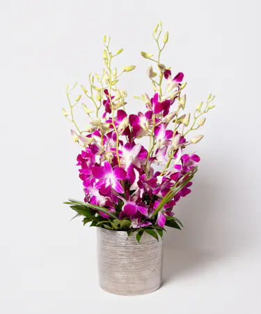 This arrangement includes stunning dendrobium orchids in a vase with exotic greenery.