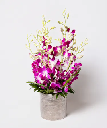 This arrangement includes stunning dendrobium orchids in a vase with exotic greenery.