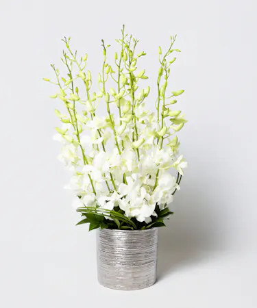 This arrangement includes stunning dendrobium orchids in a vase with exotic greenery.