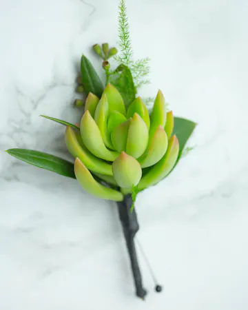 Perfect for Prom or Homecoming! This traditional boutonniere of italian ruscus, and an elegant white rose is the perfect accessory to your special day.