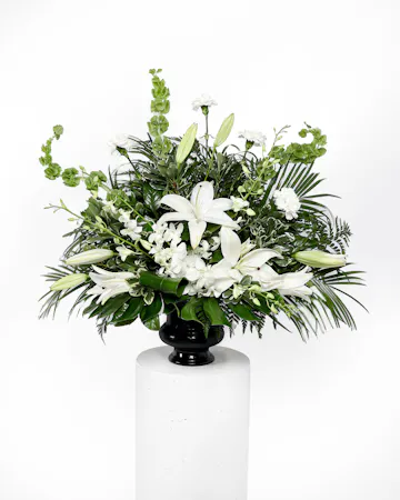 This arrangement offers sympathy ideal for the funeral service or home. The mix of lush greenery and delicate white blooms will bring peaceful wishes to the family.