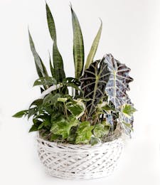 McKee Botanical Basket