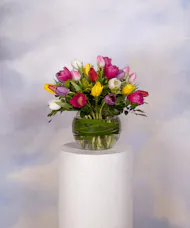 Spring Jubilee - Deluxe