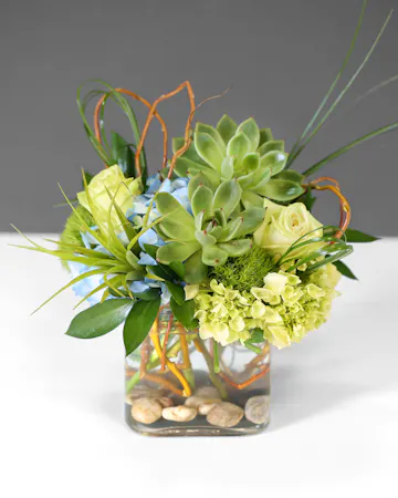 A fun stylish way to send succulents to your favorite person