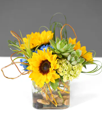 A truly unique design featuring bright golden sunflowers and beautiful blue hydrangeas nestled in with curiously delightful succulents. 