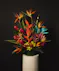 A large tropical arrangement of birds of paradise, white cymbidium orchids, and king protea designed in an elegant low black ceramic bowl