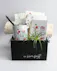 Elevate your indoor greenery game with these adorable plant arrangements, perfectly nestled within stylish ceramic mugs. 