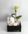 Elevate your indoor greenery game with these adorable plant arrangements, perfectly nestled within stylish ceramic mugs. 