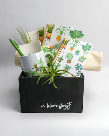 Elevate your indoor greenery game with these adorable plant arrangements, perfectly nestled within stylish ceramic mugs. 