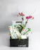 Elevate your indoor greenery game with these adorable plant arrangements, perfectly nestled within stylish ceramic mugs. 