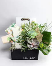 Plant Your Plans Gift Set