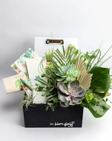 Elevate your indoor greenery game with these adorable plant arrangements, perfectly nestled within stylish ceramic mugs. 