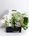 Elevate your indoor greenery game with these adorable plant arrangements, perfectly nestled within stylish ceramic mugs. 