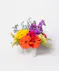 This colorful array of roses, gerbera daisies, delphinium, spray roses and more is sure to bring a smile to anyone's face.