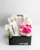 Elevate your indoor greenery game with these adorable plant arrangements, perfectly nestled within stylish ceramic mugs. 